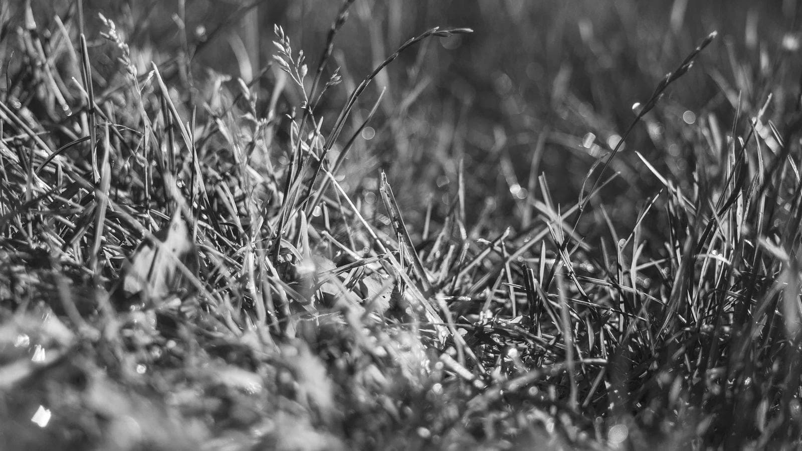 Breaking Ground: Women Leading APAC Data Center Expansion